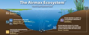 airmax_ecosystem
